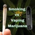 Smoking vs Vaping Marijuana - Cannarite - CBD - Dry herb vaporizers