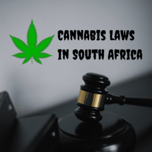 Cannabis Laws in South Africa - Vaperite - Cannarite SA