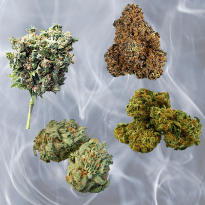 Drifferent Marijuana Strains - Cannarite South Africa