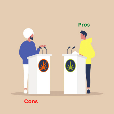 Pros and cons of cannabis laws in South Africa