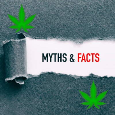 Cannabis myths debunked