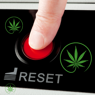 how-to-reset-cannabis-tolerance-cannarite-south-africa